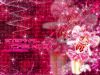 smpt_ST004_1024x768